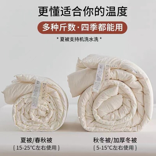Class A raw cotton soy fiber quilt double spring and autumn quilt knitted cotton Japanese soybean winter quilt gift quilt wholesale