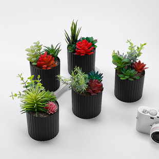 Artificial potted plant black barrel fleshy potted plant furniture living room exquisite ornaments office desktop decoration simple fashion bonsai