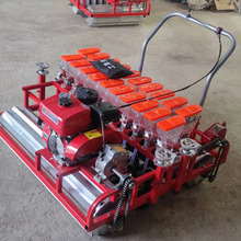 Ϻײ˲NC {˻cC h־ĸݾC