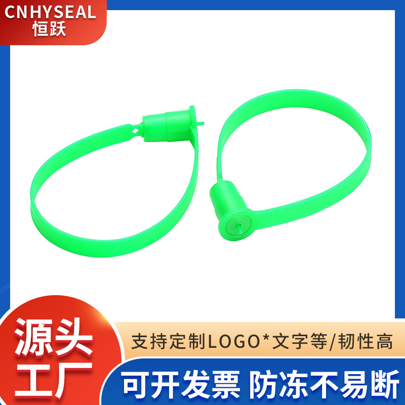 供应一次性插销塑料封条货柜封条物流封签集装箱铅封