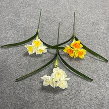 ���WС������ˮ���҃Ȳ����[�O�ٻ���֦������@�L��ˮ�ɻ���ֱ�N