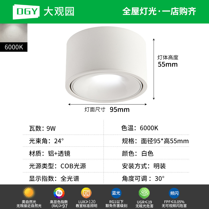 Da Guan Jardín luz de reflector anti-deslumbramiento colina sala de estar sin luz principal luz de techo downlight led corredor luz de techo 495L image 20