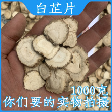 成都批 发白芷1000克天天然无硫白芷三白粉原料可磨白芷粉