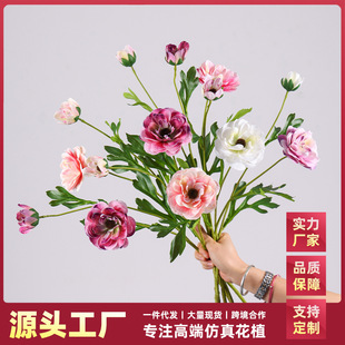 ��ꖸ�Ʒ�|���Ӵ�¶ɏ����ɫ������ĵ��ëݢ�͏d���������Ƶ껨ˇ