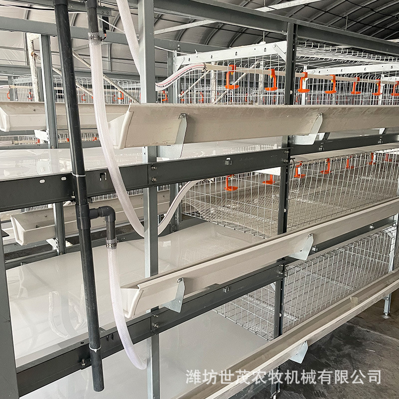 厂家定制自动化鸡笼 阶梯式蛋鸡笼 养鸡场养殖设备 肉鸡笼养设备-阿里巴巴