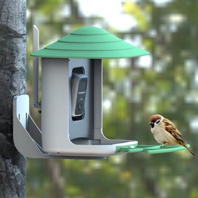 Amazon Bird Feeder Camera Ai Bird Recognition with Photography Camera Vicohome Outdoor Monitoring Infrared