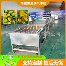 �����u����������ϴ�Cţ�̹�ϴ���C304���P�����ȥ��������ϴ�C
