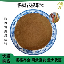 供应杨树花提取物  浓缩粉 浸膏 全水溶 现货包邮  免费拿样