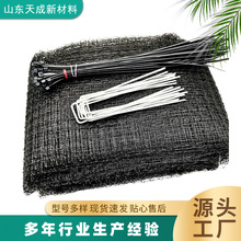 山东防鸟网厂家 黑色尼龙果园拦鸟网葡萄园樱桃园防鸟啄食网