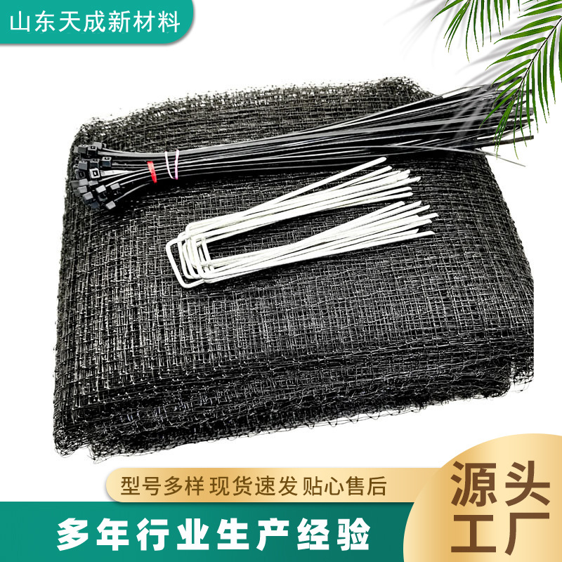 山东防鸟网厂家 黑色尼龙果园拦鸟网葡萄园樱桃园防鸟啄食网