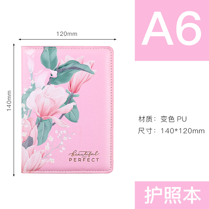 Passport Set Figure 5