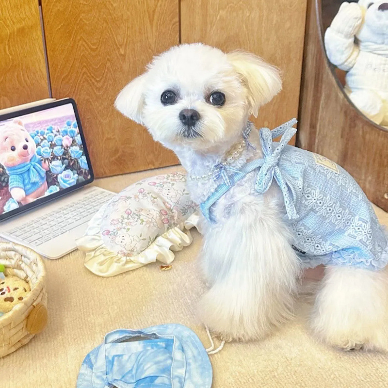 Ropa para perros verano eslingas delgadas para mascotas, lazo retro, eslingas pequeñas, encaje, chaleco lindo para gatos