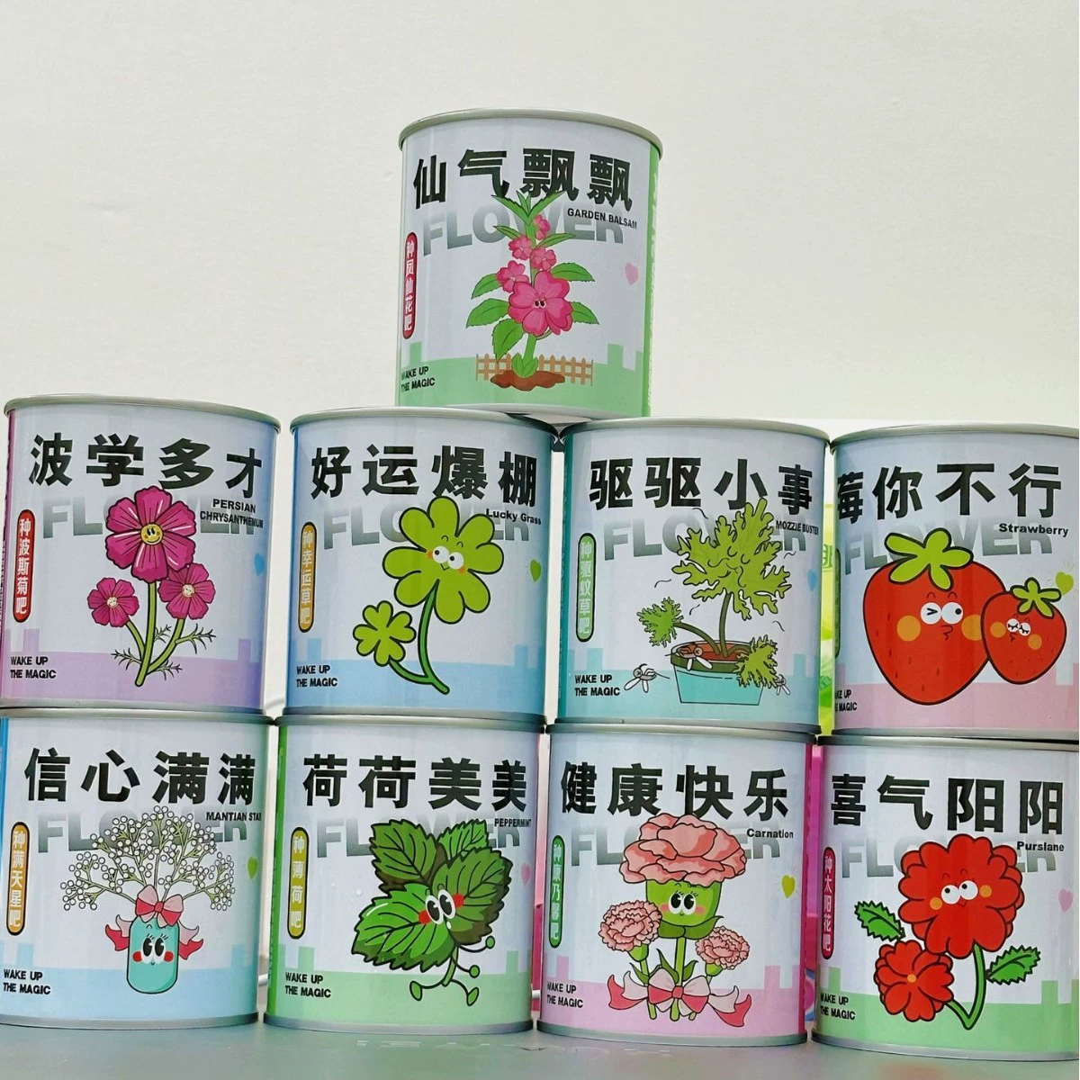 Интернет-благословение горшечные зеленые семена томатов консервированные растения рабочий стол креативные дети DIY подарки производители оптом