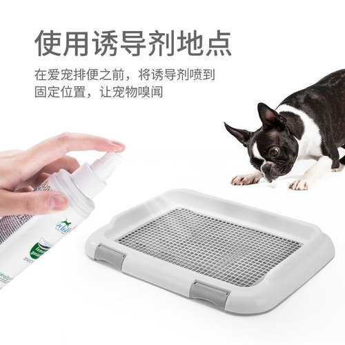 Pet Toilet Training Aid 