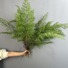 ����ֲ���ָ������~�Ҿ��b����쾰��c��Ʒ�������Խ��ާ�~