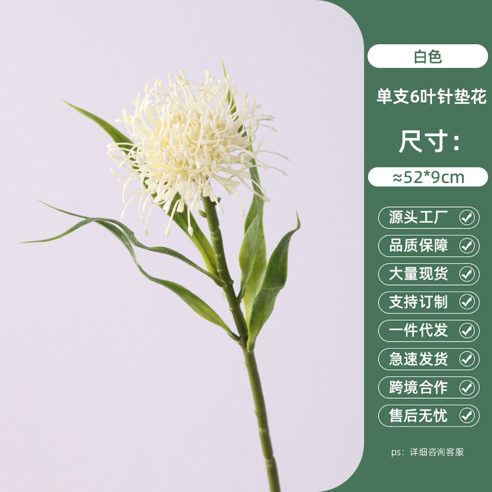 단일 가지 6잎 침대꽃 - 흰색