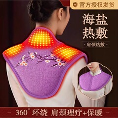海塩肩首ホットパック頚椎塩袋電気加熱肩保護首粗塩灸艾草理学療法袋肩保護