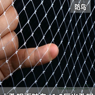 Agricultural Fruit Tree Anti-Bird Net, Anti-Bird Line Net, Isolated Wire Mesh, Anti-Bird Cover, Small Hole Vegetable Field Fence