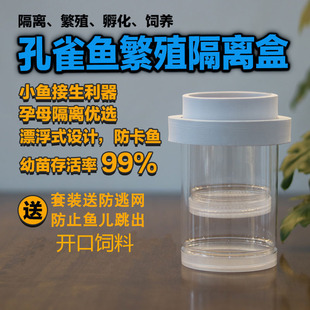 Peacock breeding box fish tank isolation box small fish young fish mother fish delivery room fish fry suspension floating incubation box tank