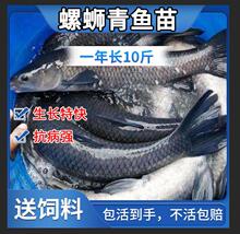 �ݽz���~������~����Ͳ��~���a�~���Ĵ���~���Bֳ���w�~�����