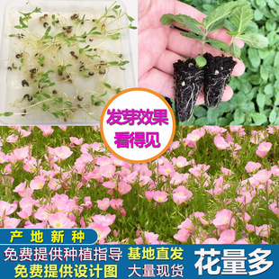 ҊݷNļҹNͥԺ̨׻