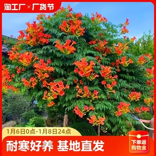 �ͺ�����������������ֲ��������̻����ٻ���Gֲ�ļ��_���܎���