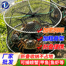 渔具弹簧螃蟹笼抓鱼尼龙骨架虾笼蟹笼鱼笼黄鳝笼批发黄鳝专用笼