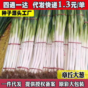 ɽ�|������[�N���F�U�߲����ӷN���ļ��[�N���ش����[��