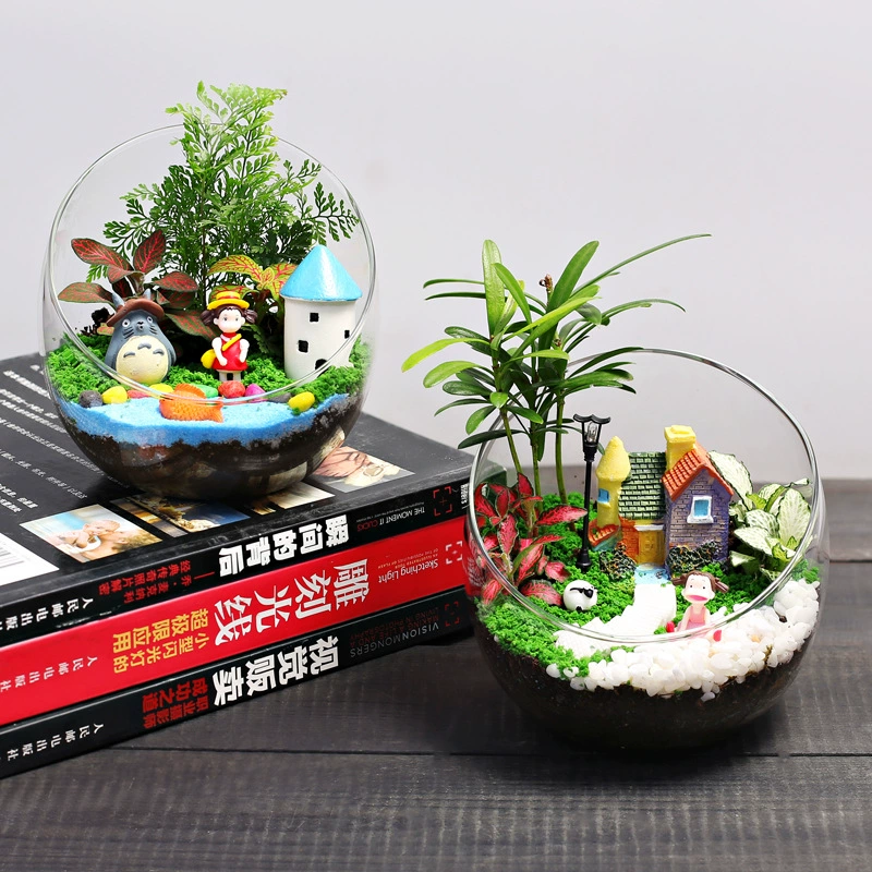 12 см вырезать бутылку экологический мох микро пейзаж DIY Материал Пакет Рабочий стол мини зеленое растение цветок маленькое растение в горшке