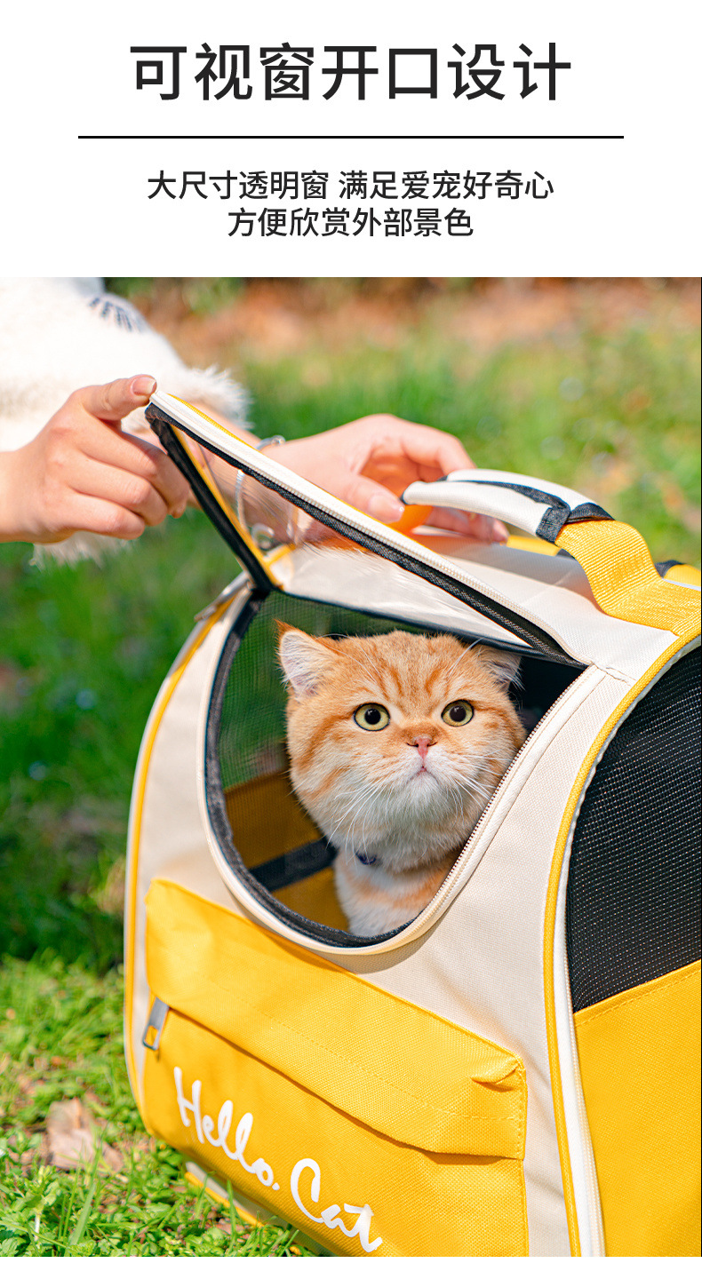 934c8b5a-ea2b-457c-8c87-6887dea2a4df.jpe