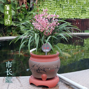 ���L�t �m���罨�m�ļ��m �̨��̨�k���ҾGֲ���Ի����������