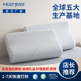 跨境波浪情侣学生颈椎专用睡眠枕头慢回弹记忆棉太空记忆棉高低枕