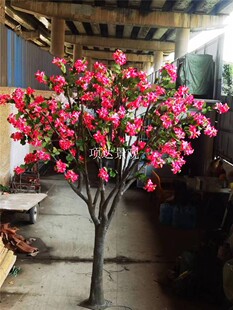 �������G��������ט��҃����̈��V��ͥԺ���@��ˇ�b��쾰����