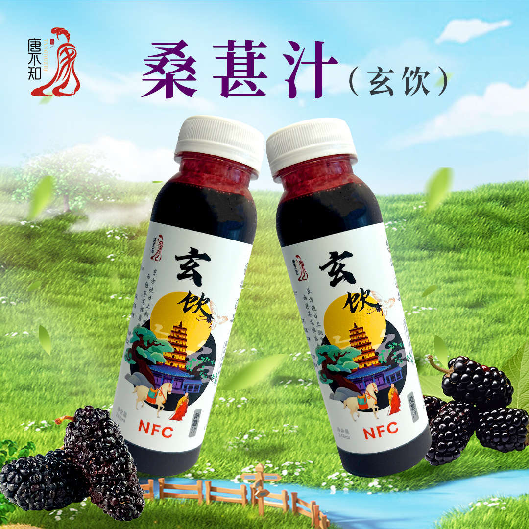 NFC纯果汁100桑葚味一箱8瓶顺丰包邮0脂健康饮品零脂桑葚果鲜低糖