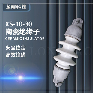 �����͑�ʽ��ƿ�p�F�^�߉���·��XS-10/30�մɽ^����10KV�߉���ƿ