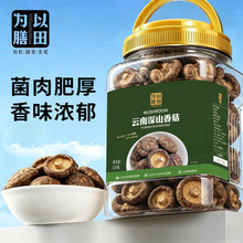 东北香菇220新菇菌菇特香新鲜干冬菇蘑菇商用煲汤干货批发工厂