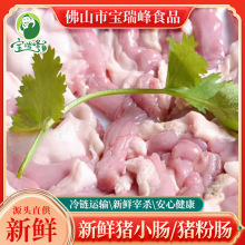 商用新鲜冷冻猪粉肠圈圈肠生苦肠非十二指肠火锅店食堂猪小肠肥肠