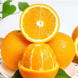 广西夏橙甜橙水果橙子新鲜10斤大果赣南脐橙伦晚榨汁整箱包邮批发