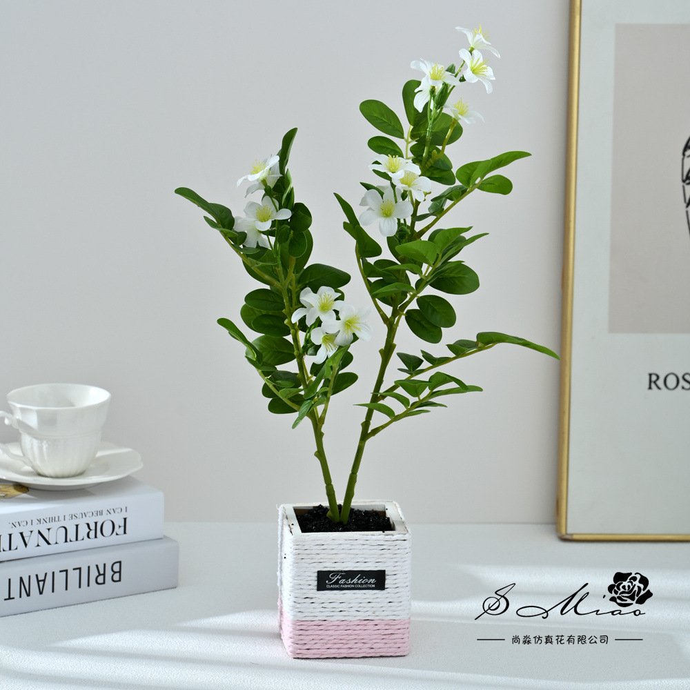 2498529 Bonsai de flores de dos árboles de té (pot de madera)