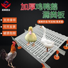 u©S_|©SBZu©ʺ؉|uذ