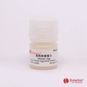 A8041 高纯卵清蛋白Albumin Egg 9006-59-1 高纯 琼脂糖凝胶电泳