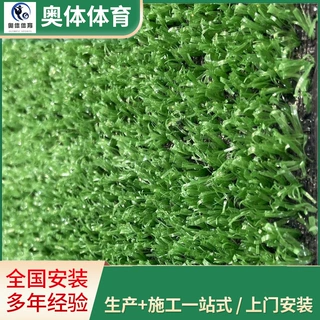 人造草坪10mm围挡草 足球场草坪仿真草皮 学校操场装饰草坪可定制