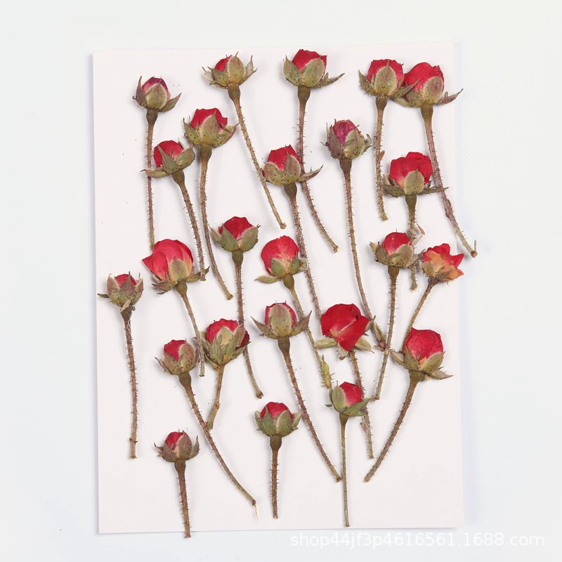 Боковой прессованный бутон розы с ветками Тисненый гелевый Чехол для мобильного телефона Детская наклейка ручной работы Живопись Украшение для поздравительной открытки Сухие цветы