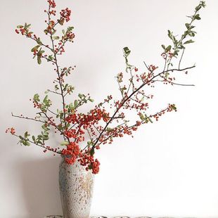 ���a����𼬹�ˮ��ˮ�B�r��������ϲ�c�͏d�҃Ȳ廨����ֱ�l���l