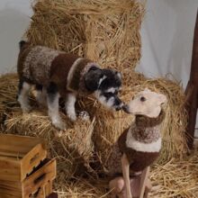 ��������Ȯ�`��߅�����Ië���ﹷ���ﶬ�·���ů���L��ë�½���