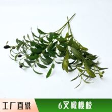 ����Gֲ�ϙ�֦6�控���٘�֦��c�Ҿӿ͏d�bzӰ���߸߷���