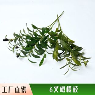 ����Gֲ�ϙ�֦6�控���٘�֦��c�Ҿӿ͏d�bzӰ���߸߷���