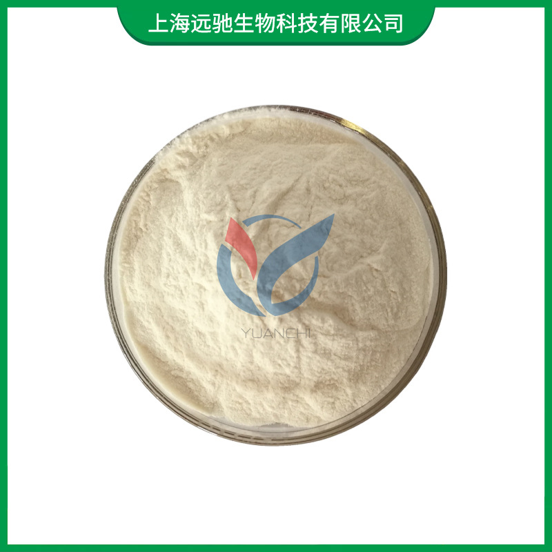 现货供应 纤维素酶 食品级10万单位 葡聚糖水解酶 1kg起订