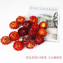 ��Ȼ�ɻ��߲ʾոɻ��^ �ֹ�DIY���ϼҾ��b����յ��߸ɻ��[��