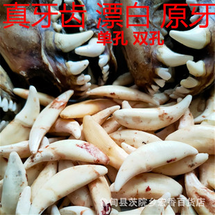 �湷�����������X�ڹ�������ϲ������ִ��K�ο��p���i�@���Ʒ